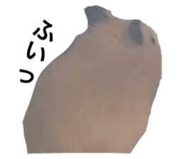 589255563