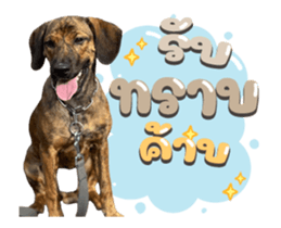 589258319