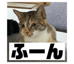 589312130
