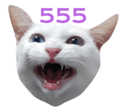 589338903