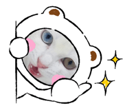 589338906