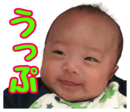 589351036