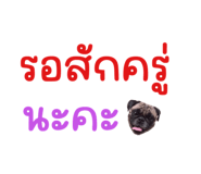 589425446