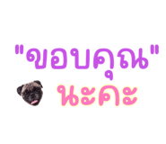 589425448