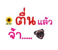 589425449