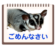 589477470