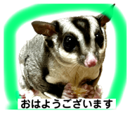589477471