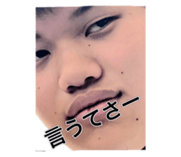 589494066