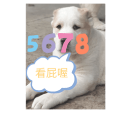 589500138