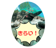 589574358