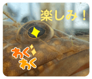 589574362