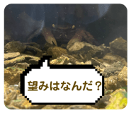589574379