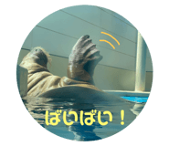 589574385