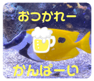 589574387