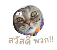 589600188