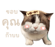 589600189