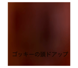 589621561