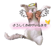 589635404