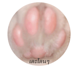 589679028
