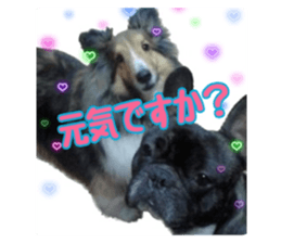 589679835