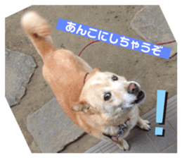 589734304