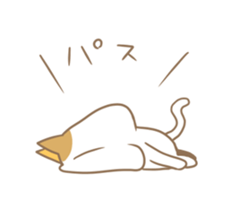 5898202