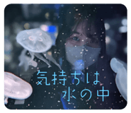 589992455