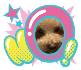590030497