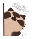 590084918