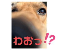 590096078