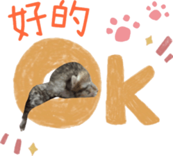 590100017