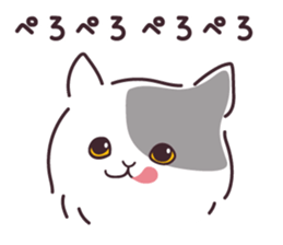590112747
