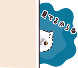 590112748