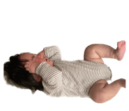 590199667
