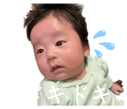 590199688
