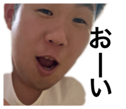 590210764
