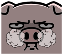 590239684