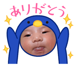 590247211
