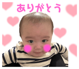 590253920