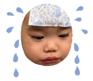 590264580