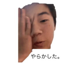 590306528