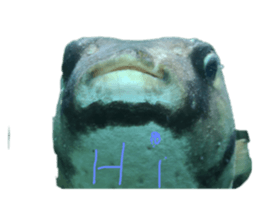 590471755