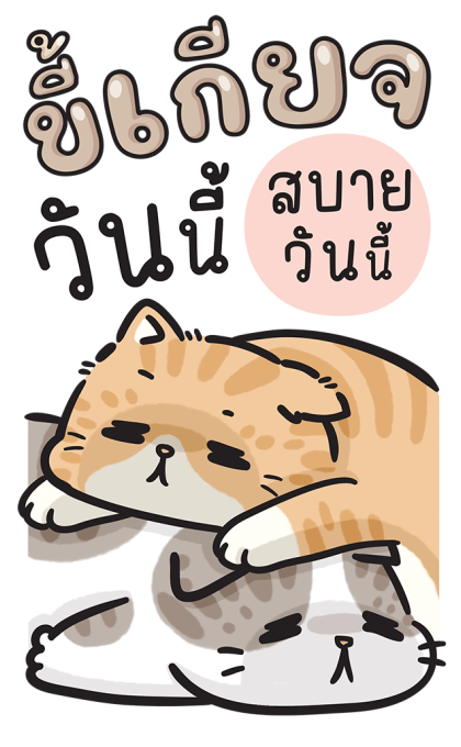 ก๊วนแมวอินดี้ แบบบิ๊กๆ รูปที่ 6
