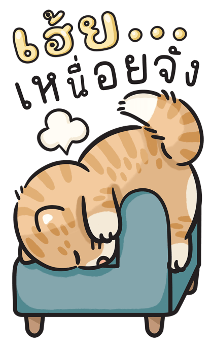 ก๊วนแมวอินดี้ แบบบิ๊กๆ รูปที่ 10