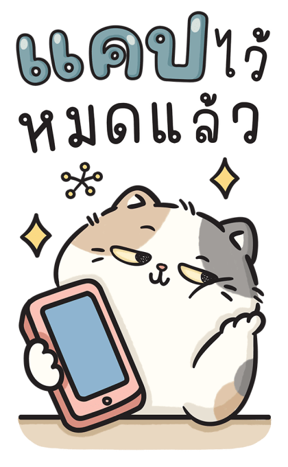 ก๊วนแมวอินดี้ แบบบิ๊กๆ รูปที่ 14