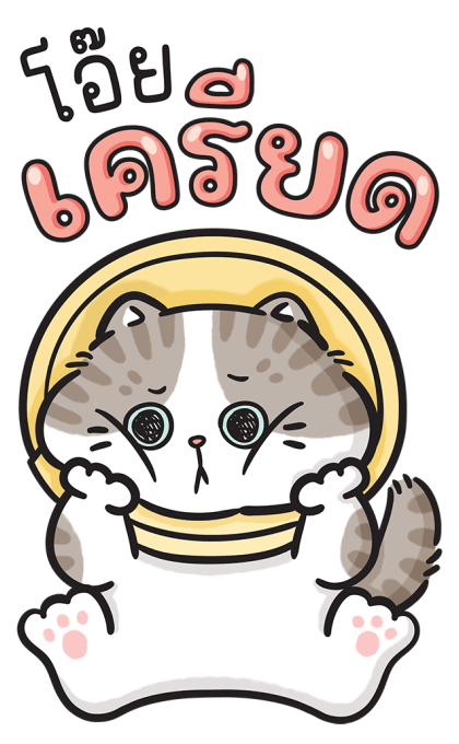 ก๊วนแมวอินดี้ แบบบิ๊กๆ รูปที่ 18