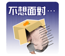 590496056