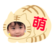59051858