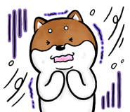 590522093