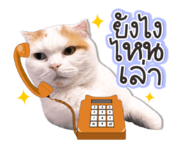 590523513